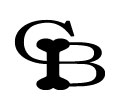 Chrome Bones logo